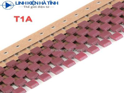 Cầu chì vuông 250V cầu chì T1A 1A Cầu chì vuông 250V cầu chì T1A 1A
